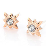 Mixed Styles Rhinestone Sun Flower Geometric Animal Plastic Stud Earrings Set