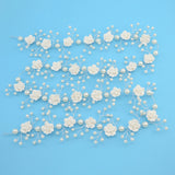 Luxury Tiara Silver Pearl Headbands